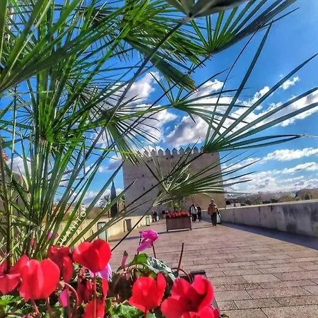Maripipi Διαμέρισμα